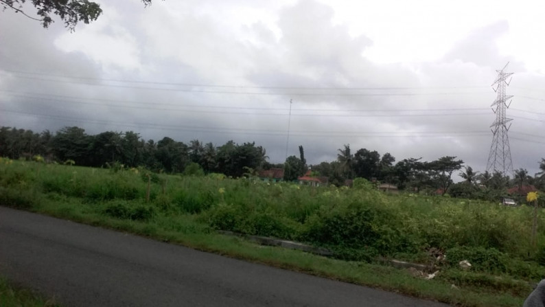TANAH SAWAH SELUAS 6500 METER PERSEGI, DI DESA TUNJUNGAN, NGOMBOL, PURWOREJO