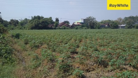 Tanah Dijual di Dusun Soogo, Kecamatan Puri, Kab. Mojokerto