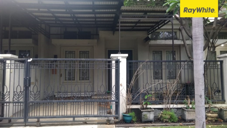 Rumah Disewakan di Central Park A Yani, Surabaya Selatan