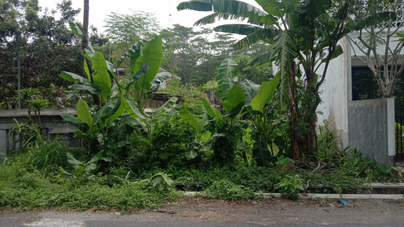 TANAH SAWAH SELUAS 660 METER PERSEGI, DI JL RAYA BERINGIN, MAGUWOHARJO