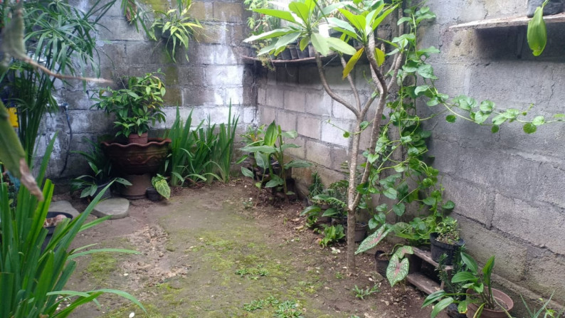 RUMAH TINGGAL MINIMALIS DI PERUM BANGUNJIWO GRIYA SENTOSA