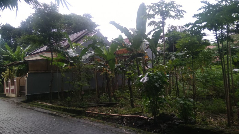 TANAH STRATEGIS DI DEKAT KAMPUS UII, NGAGLIK, SLEMAN