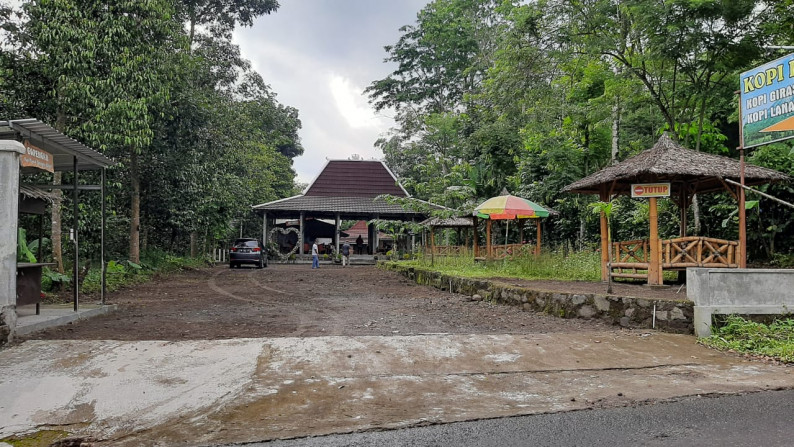 RUANG USAHA, DI UTARA YOGYAKARTA, DS GONDANG, CANGRINGAN