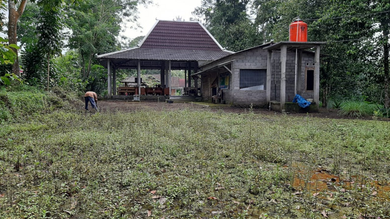 RUANG USAHA, DI UTARA YOGYAKARTA, DS GONDANG, CANGRINGAN