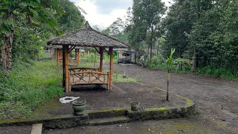 RUANG USAHA, DI UTARA YOGYAKARTA, DS GONDANG, CANGRINGAN