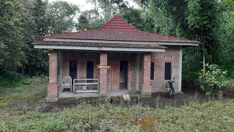 RUANG USAHA, DI UTARA YOGYAKARTA, DS GONDANG, CANGRINGAN
