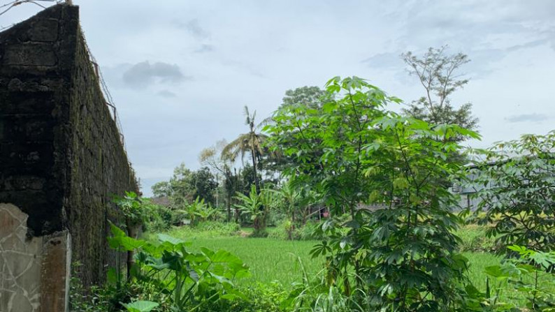 TANAH SAWAH SELUAS 588 METER PERSEGI, UMBULMARTANI, SLEMAN