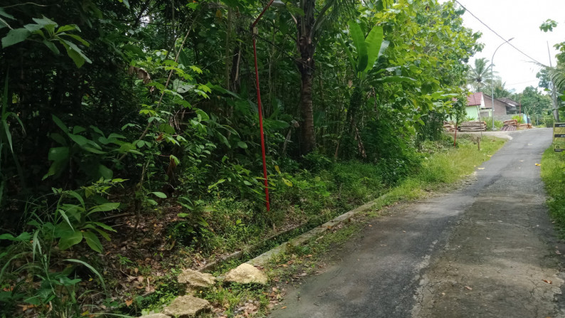 TANAH SELUAS 1626 METER PERSEGI DI ARGOMULYO, SEDAYU , BANTUL
