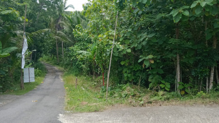 TANAH SELUAS 1626 METER PERSEGI DI ARGOMULYO, SEDAYU , BANTUL