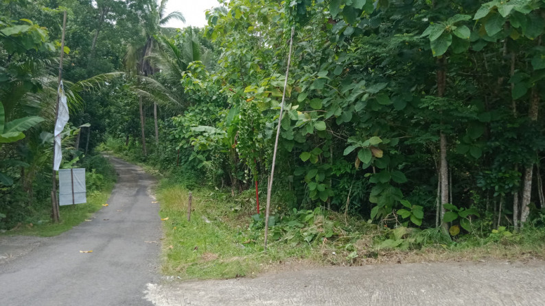 TANAH SELUAS 1626 METER PERSEGI DI ARGOMULYO, SEDAYU , BANTUL