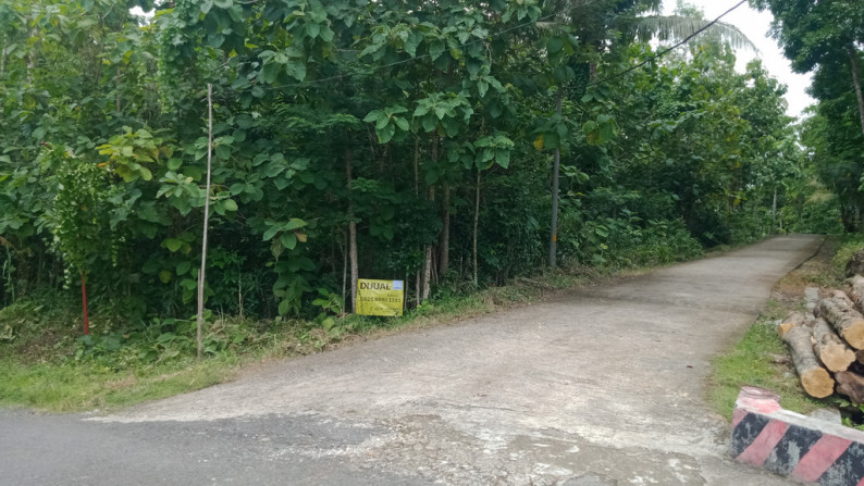 TANAH SELUAS 1626 METER PERSEGI DI ARGOMULYO, SEDAYU , BANTUL