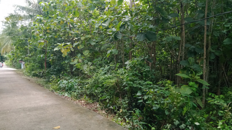 TANAH SELUAS 1626 METER PERSEGI DI ARGOMULYO, SEDAYU , BANTUL