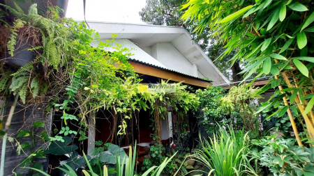 Rumah rapi dan terawat di Kebayoran Lama