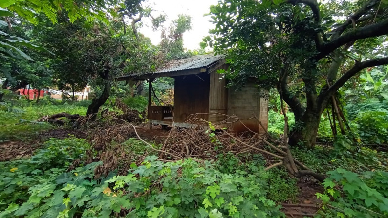 Tanah Ngantong, Datar Dan Padat