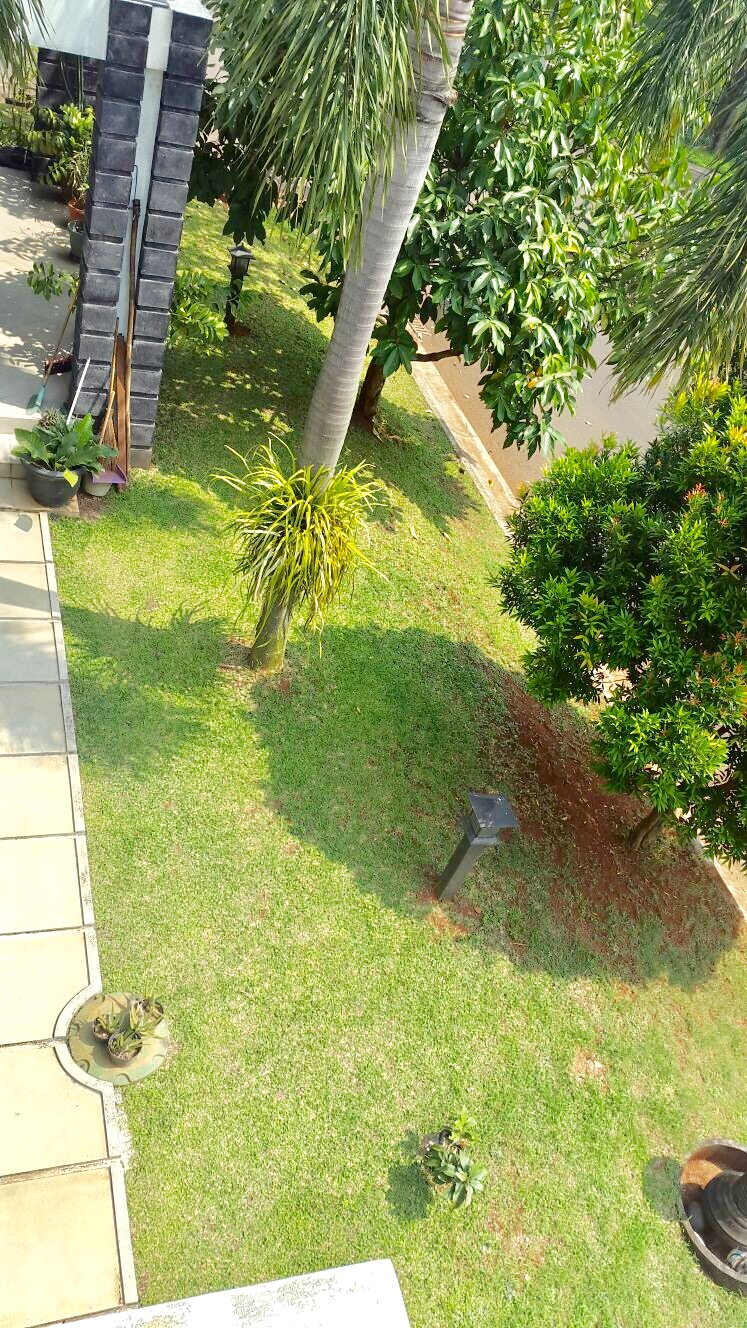 RUMAH DI KOMPLEK YANG HIJAU DAN TENANG - SEKTOR 7 BINTARO #AW