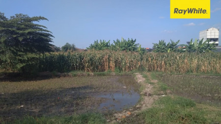 Tanah Dijual di Jalan Teratai, Sooko, Mojokerto