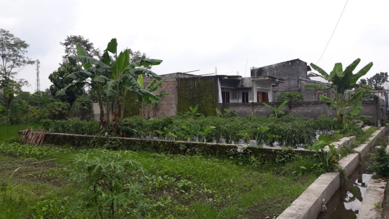 TANAH SELUAS 224 METER PERSEGI DISEWAKAN DI JL BARU MULUNGAN, SLEMAN