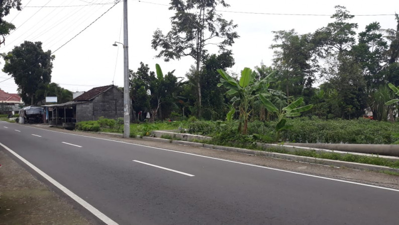 TANAH SELUAS 224 METER PERSEGI DISEWAKAN DI JL BARU MULUNGAN, SLEMAN