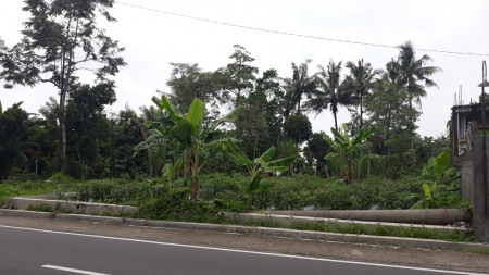 TANAH SELUAS 224 METER PERSEGI DISEWAKAN DI JL BARU MULUNGAN, SLEMAN