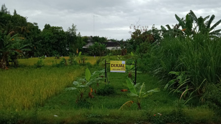 TANAH PEKARANGAN SELUAS 896 METER PERSEGI DI JL. MADUKISMO, BANTUL