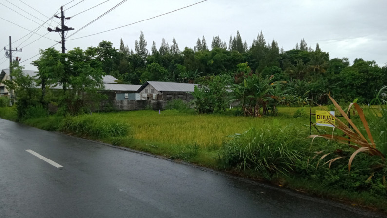 TANAH PEKARANGAN SELUAS 896 METER PERSEGI DI JL. MADUKISMO, BANTUL