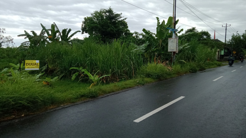 TANAH PEKARANGAN SELUAS 896 METER PERSEGI DI JL. MADUKISMO, BANTUL