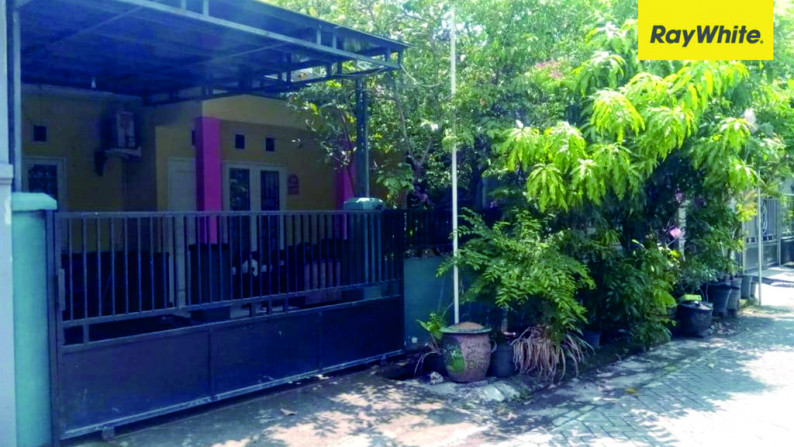 Rumah Palem Nirwana Buduran Sidoarjo