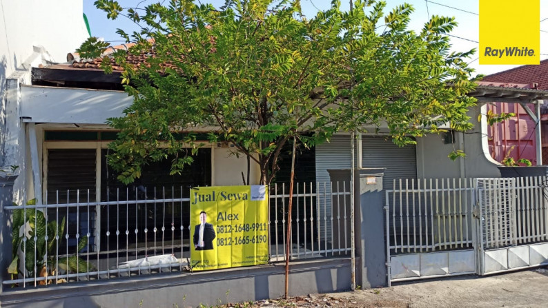 Dijual/Disewakan Rumah 1,5 lantai di Pucang Anom, Surabaya