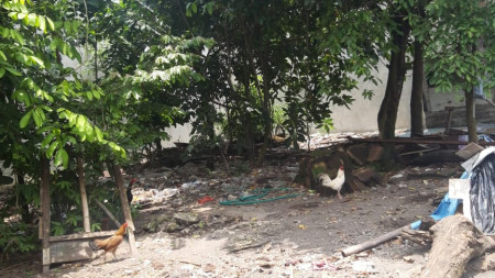 TANAH SELUAS 202 METER PERSEGI, DI JL  TAJEM, MAGUWOHARJO, SLEMAN
