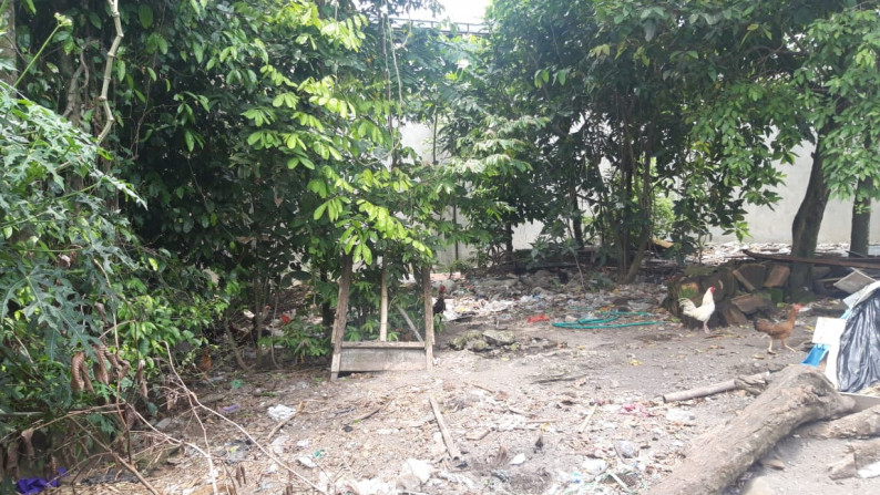 TANAH SELUAS 202 METER PERSEGI, DI JL  TAJEM, MAGUWOHARJO, SLEMAN