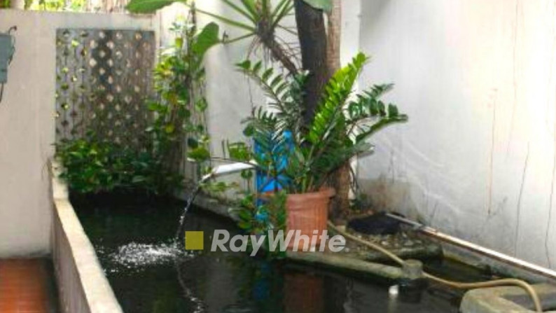 Dijual Rumah Asri dan Luas Di Pondok Labu