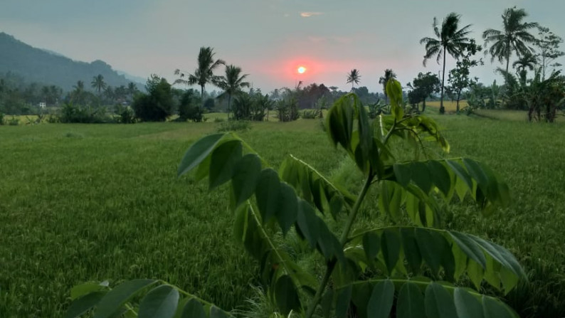 Villa Bagus di Cicantayan sukabumi