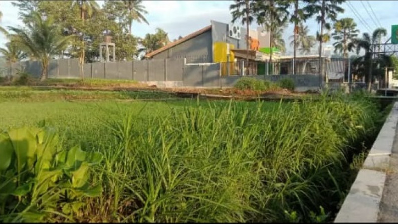 TANAH SAWAH DI JL RAYA CANGKRINGAN, NGEMPLAK SLEMAN