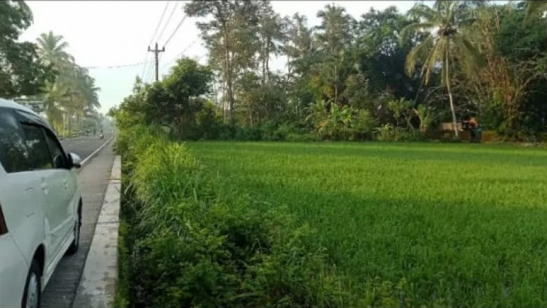 TANAH SAWAH DI JL RAYA CANGKRINGAN, NGEMPLAK SLEMAN