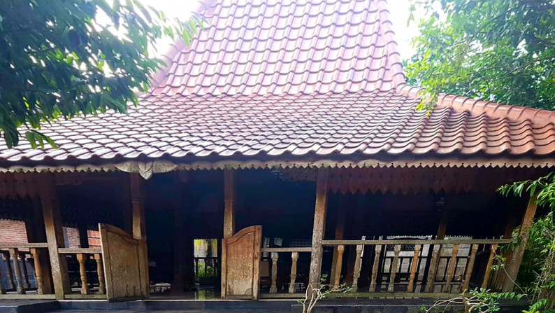 Rumah Joglo Artistik di Kawasan Cinangka Depok, Luas 900m Harga 12M nego sampai DEAL