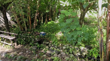 TANAH PEKARANGAN KOSONG, SELUAS 494 METER PERSEGI, DI NGAGLIK, SLEMAN