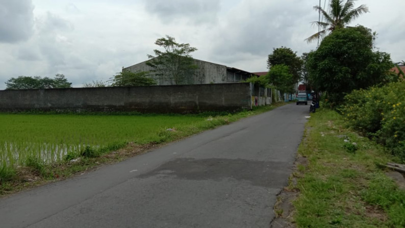 TANAH DISEWAKAN DI JL PUNTO DEWO DEKAT JL MAGELANG KM 4, SLEMAN