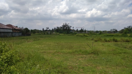 TANAH SAWAH SELUAS 2192 METER PERSEGI, DI JL POLSEK GODEAN, SLEMAN