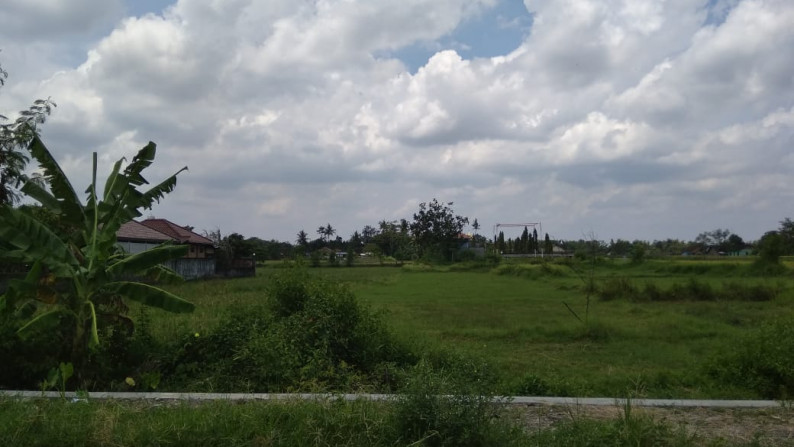 TANAH SAWAH SELUAS 2192 METER PERSEGI, DI JL POLSEK GODEAN, SLEMAN