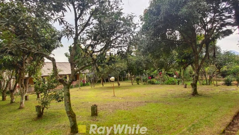 Dijual Villa Cantik Terawat dengan View Indah Di Cianjur Puncak