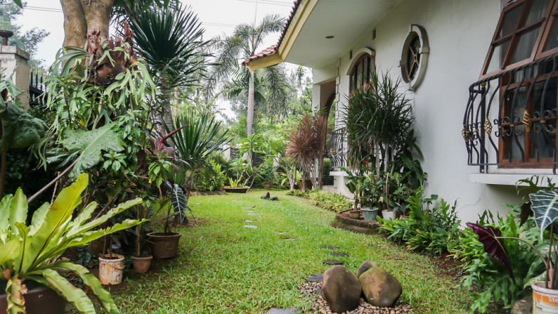 For Sale - Rumah Bernuansa Alami dan Sangat Lapang di Villa Cinere Mas