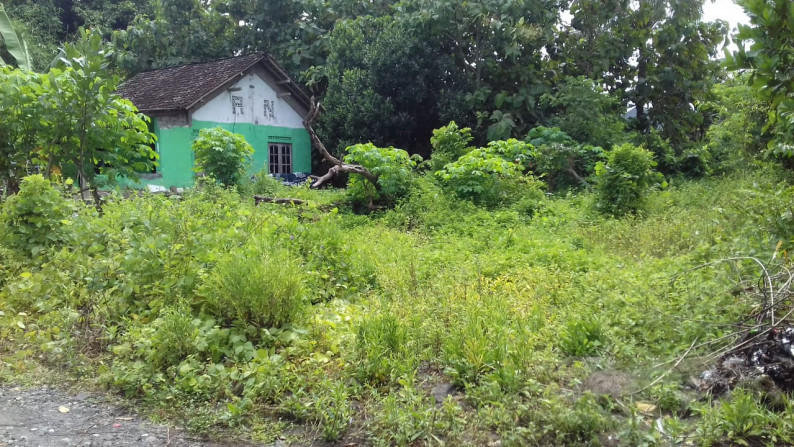 Tanah Pekarangan di Wedomartani Sleman, Jogjakarta