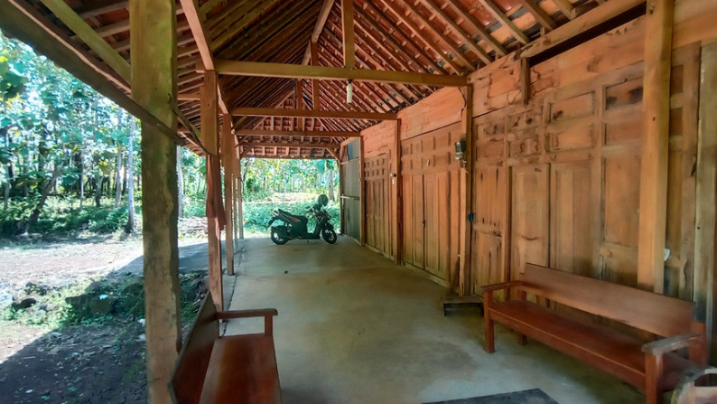 TANAH SELUAS 5812 METER PERSEGI BONUS RUMAH, DI DSN SAMBENG, GUNUNG KIDUL