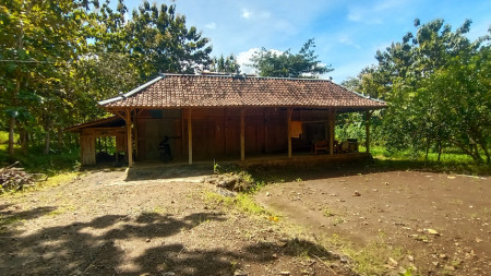 TANAH SELUAS 5812 METER PERSEGI BONUS RUMAH, DI DSN SAMBENG, GUNUNG KIDUL