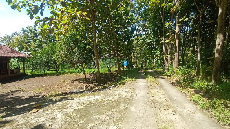 TANAH SELUAS 5812 METER PERSEGI BONUS RUMAH, DI DSN SAMBENG, GUNUNG KIDUL