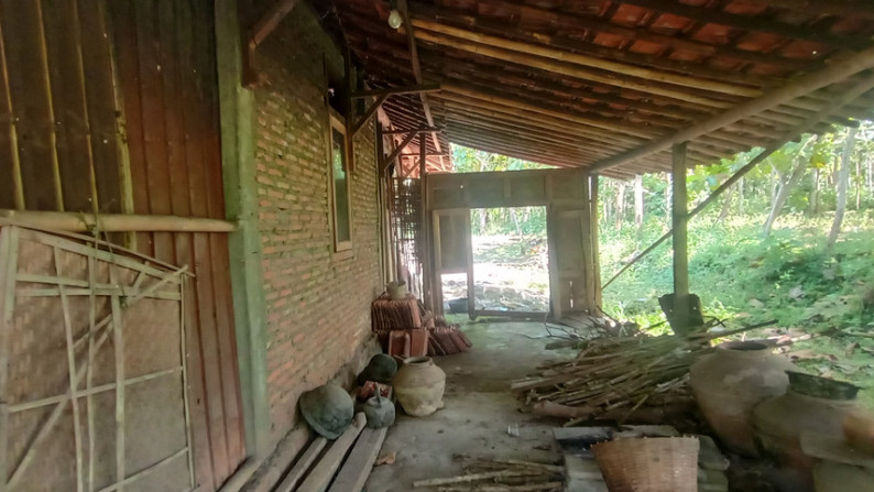 TANAH SELUAS 5812 METER PERSEGI BONUS RUMAH, DI DSN SAMBENG, GUNUNG KIDUL