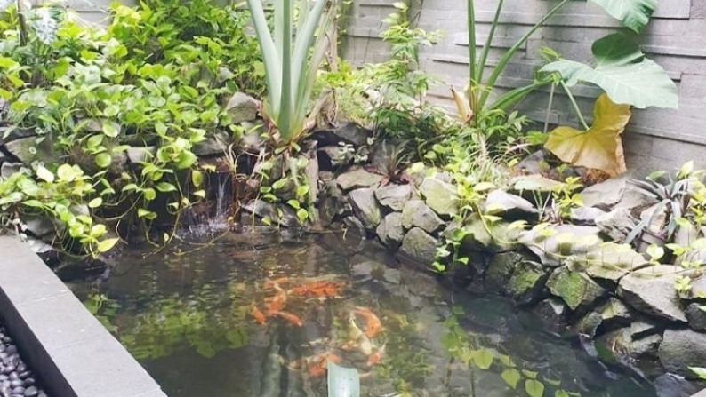 Rumah Siap Huni, Bagus, dalam cluster Favorite dan Elite Bintaro Jaya