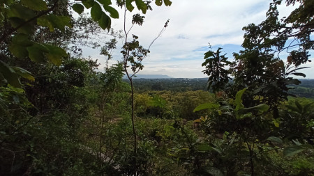 TANAH SELUAS 6898 METER PERSEGI, DI KAYEN, PAJANGAN, BANTUL