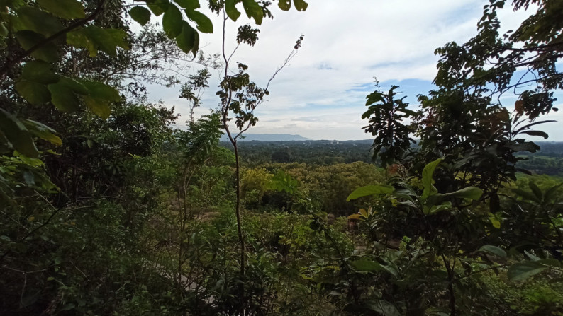 TANAH SELUAS 6898 METER PERSEGI, DI KAYEN, PAJANGAN, BANTUL