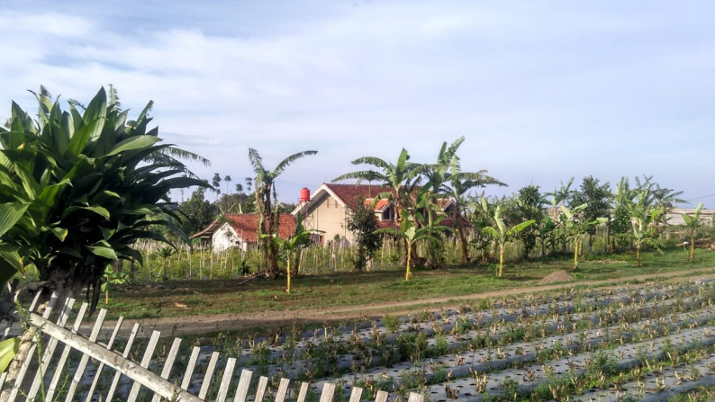 Tanah dan Rumah di Sayap Kolmas, Dekat Sekolah Polisi negara